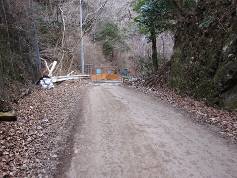 20200204hike (486)